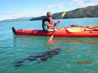 Tasman Bay Kayaking3 
